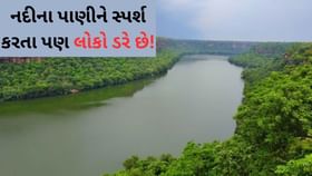 શાપિત નદી, જેને સ્પર્શ કરવાથી પણ લોકો ડરે છે ! કારણો જાણો શાપિત નદી, જેને સ્પર્શ કરવાથી પણ લોકો ડરે છે ! કારણો જાણો