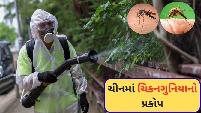 ચીનમાં ચિકનગુનિયાનો પ્રકોપ: અત્યાર સુધી 8000 કરતા વધારે કેસ નોંધાયા