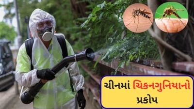 ચીનમાં ચિકનગુનિયાનો પ્રકોપ: મધરાતે લેવામાં આવી રહ્યા છે બ્લડ સેમ્પલ, ચીનમાં કોરોના જેવા કડક પગલાં; અત્યાર સુધી 8000 કરતા વધારે કેસ નોંધાયા