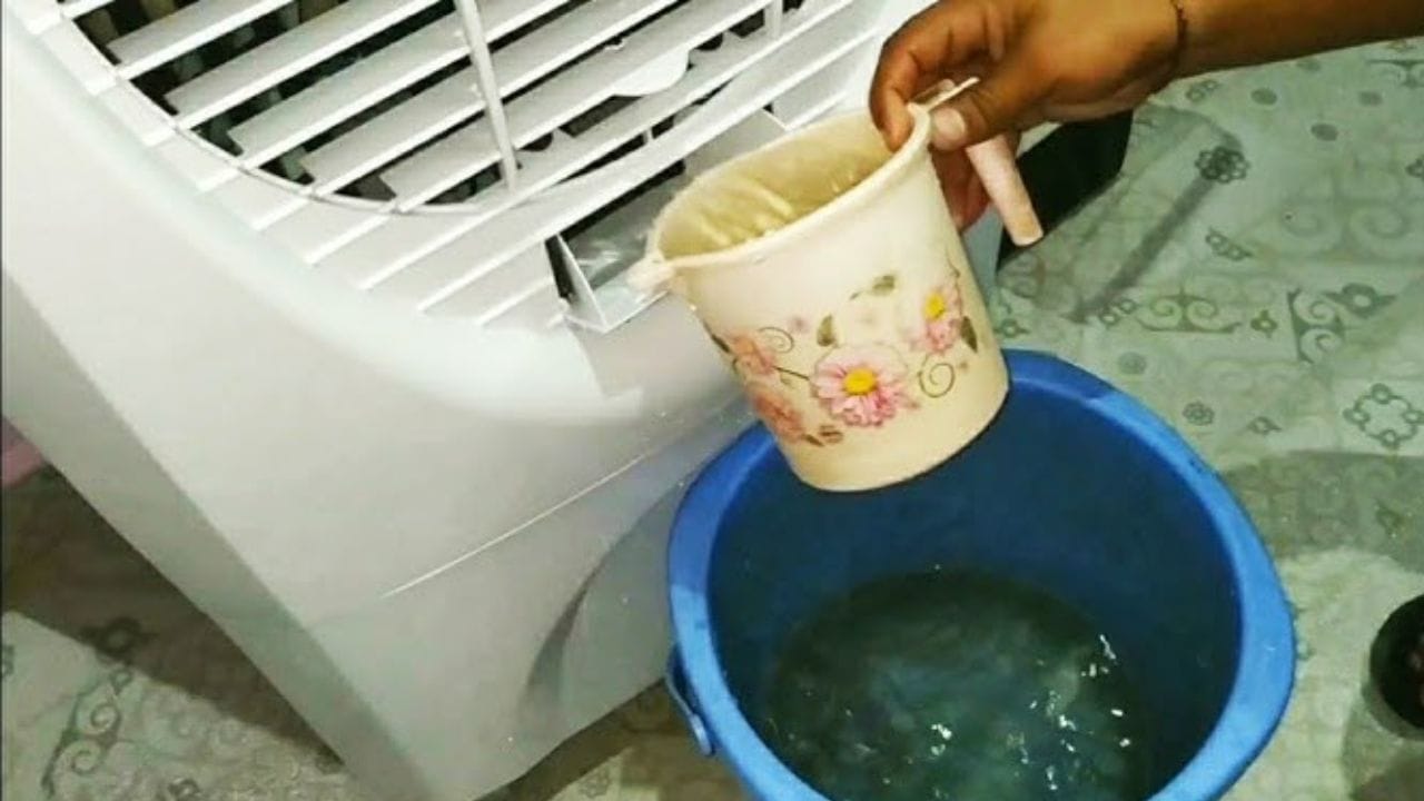 શું કરવું, શું ન કરવું: કૂલરનું પાણી દરરોજ બદલો અને ટાંકી સાફ કરો. વરસાદ દરમિયાન કુલરને ખુલ્લામાં ન રાખો. કૂલરને લાંબા સમય સુધી સતત ચલાવશો નહીં. ઘરમાં ક્રોસ વેન્ટિલેશન રાખો, જેથી તાજી હવા આવતી રહે.જો શ્વાસ લેવામાં તકલીફ હોય કે ખૂબ તાવ આવે, તો તાત્કાલિક ડૉક્ટરનો સંપર્ક કરો.