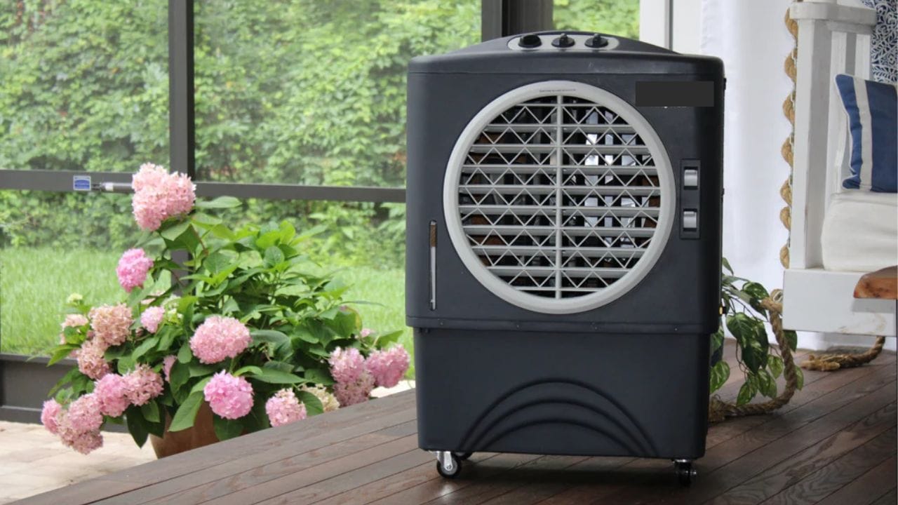 વરસાદની ઋતુમાં કુલર ચલાવવું ખોટું નથી, પરંતુ થોડી બેદરકારી ગંભીર બીમારીનું કારણ બની શકે છે. સમયસર સફાઈ, યોગ્ય જાળવણી અને કાળજીપૂર્વક ઉપયોગ સાથે, તમે આ ઋતુમાં પણ ઠંડી હવાનો આનંદ માણી શકો છો, તમારા સ્વાસ્થ્યને જોખમમાં મૂક્યા વિના.