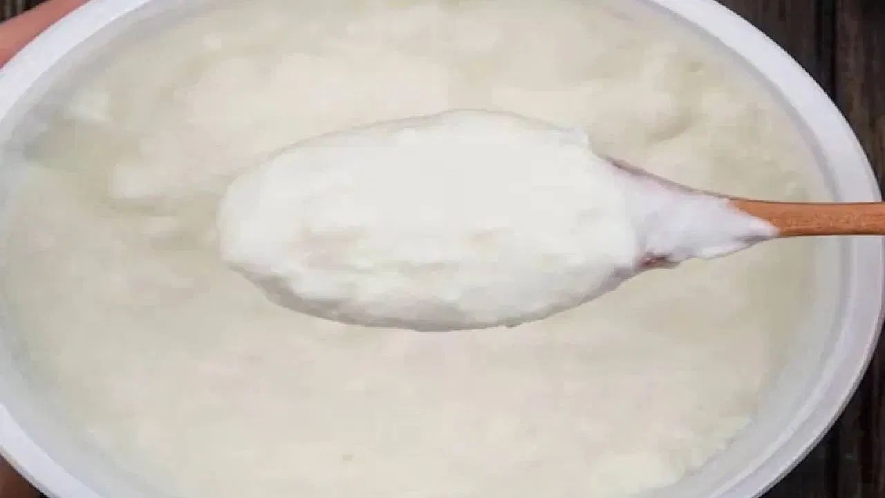 તે શુભતાનું પ્રતીક છે - દહીં અને ખાંડ ખાવાનું માત્ર સ્વાસ્થ્ય માટે જ નહીં પરંતુ આપણી સંસ્કૃતિમાં પણ શુભ માનવામાં આવે છે. એવું કહેવાય છે કે મીઠી વસ્તુ ખાધા પછી ઘરની બહાર નીકળવાથી બધા કામ સારી રીતે થાય છે.