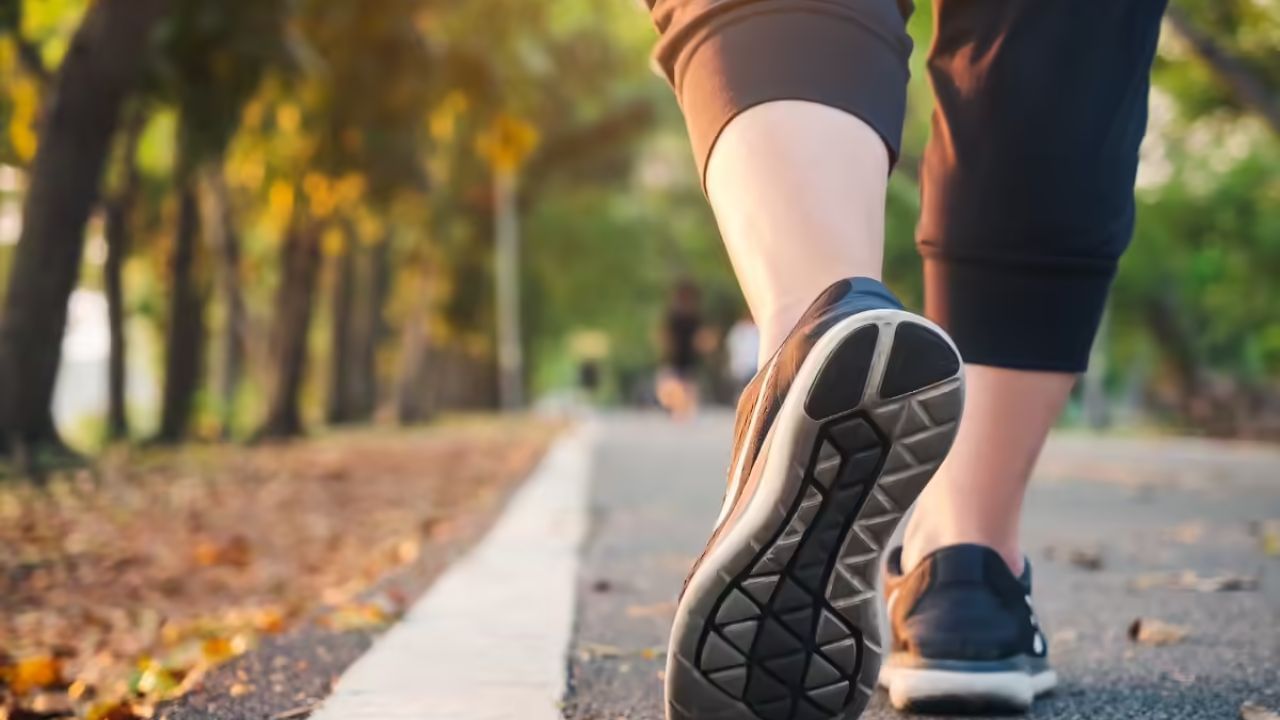 રાત્રિભોજન પછી ચાલવું એ હૃદયના સ્વાસ્થ્ય માટે પણ અત્યંત ફાયદાકારક છે. નિયમિત રીતે ચાલવાથી શરીરમાં રક્ત પરિભ્રમણ સુધરે છે, જેનાથી ઓક્સિજન અને પોષક તત્વો દરેક અંગ સુધી પહોંચે છે. આનાથી કોલેસ્ટ્રોલનું સ્તર સંતુલિત રહે છે, ખાસ કરીને 'ખરાબ' કોલેસ્ટ્રોલ (LDL) ઘટાડવામાં મદદ મળે છે. રક્ત પરિભ્રમણ અને કોલેસ્ટ્રોલનું સંતુલન જળવાઈ રહેવાથી હૃદય રોગ, હાઈ બ્લડ પ્રેશર અને સ્ટ્રોક જેવી ગંભીર સમસ્યાઓનું જોખમ ઘણું ઓછું થાય છે.