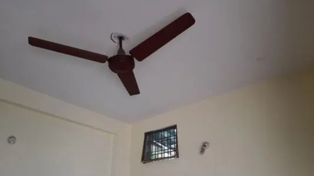 સ્ક્રૂ ટાઇટ કરો: ક્યારેક પંખાના અવાજનું કારણ ઢીલા સ્ક્રૂ હોય છે. પંખો બંધ કરો અને સ્ક્રુડ્રાઈવરથી બધા સ્ક્રૂ કડક કરો. આનાથી પંખો વધુ સારી રીતે કામ કરશે અને અવાજ ઓછો થશે.