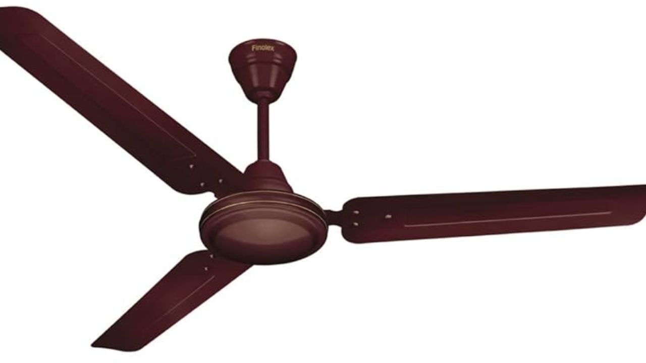 બ્લેડ સાફ કરો: પંખાના બ્લેડ પર ધૂળ જમા થવાને કારણે, પંખો યોગ્ય રીતે કામ કરી શકતો નથી. પંખો બંધ કરો અને બ્લેડ પરથી ધૂળને સ્વચ્છ કપડાથી હળવેથી સાફ કરો. આનાથી તમારો પંખો ફરીથી સારી રીતે ફરવા લાગશે અને અવાજ ઓછો થશે.