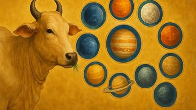 જો તમારી કુંડળીમાં વારંવાર ગ્રહ દોષ દેખાઈ રહ્યા છે, શુભ કાર્યો અટકી રહ્યા છે અથવા તમારા જીવનમાં અચાનક મુશ્કેલીઓ આવી રહી છે, તો તેનું કારણ તમારા નવગ્રહો હોઈ શકે છે. પરંતુ શું તમે જાણો છો કે ગાયને યોગ્ય વસ્તુઓ ખવડાવીને આ ગ્રહોને શાંત કરી શકાય છે? જો તમે મોંઘા ઉપાયોથી કંટાળી ગયા છો, તો તમે આ સરળ પણ દૈવી ઉપાય અપનાવી શકો છો. આને કારણે, ગાય પ્રત્યેનું તમારું સમર્પણ તમારા ગ્રહોના આશીર્વાદ તરીકે પ્રાપ્ત થઈ શકે છે અને ગ્રહોના આશીર્વાદનો સીધો અર્થ જીવનની પ્રગતિ છે.
