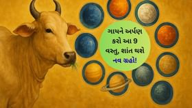 ગાયને અર્પણ કરો આ 9 વસ્તુ, શાંત થશે નવ ગ્રહો! ગાયને અર્પણ કરો આ 9 વસ્તુ, શાંત થશે નવ ગ્રહો!