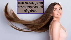 લાંબા, ઘટાદાર અને મુલાયમ વાળ બનાવવા માટે અપનાવો આ ઘરેલું ઉપાય લાંબા, ઘટાદાર અને મુલાયમ વાળ બનાવવા માટે અપનાવો આ ઘરેલું ઉપાય