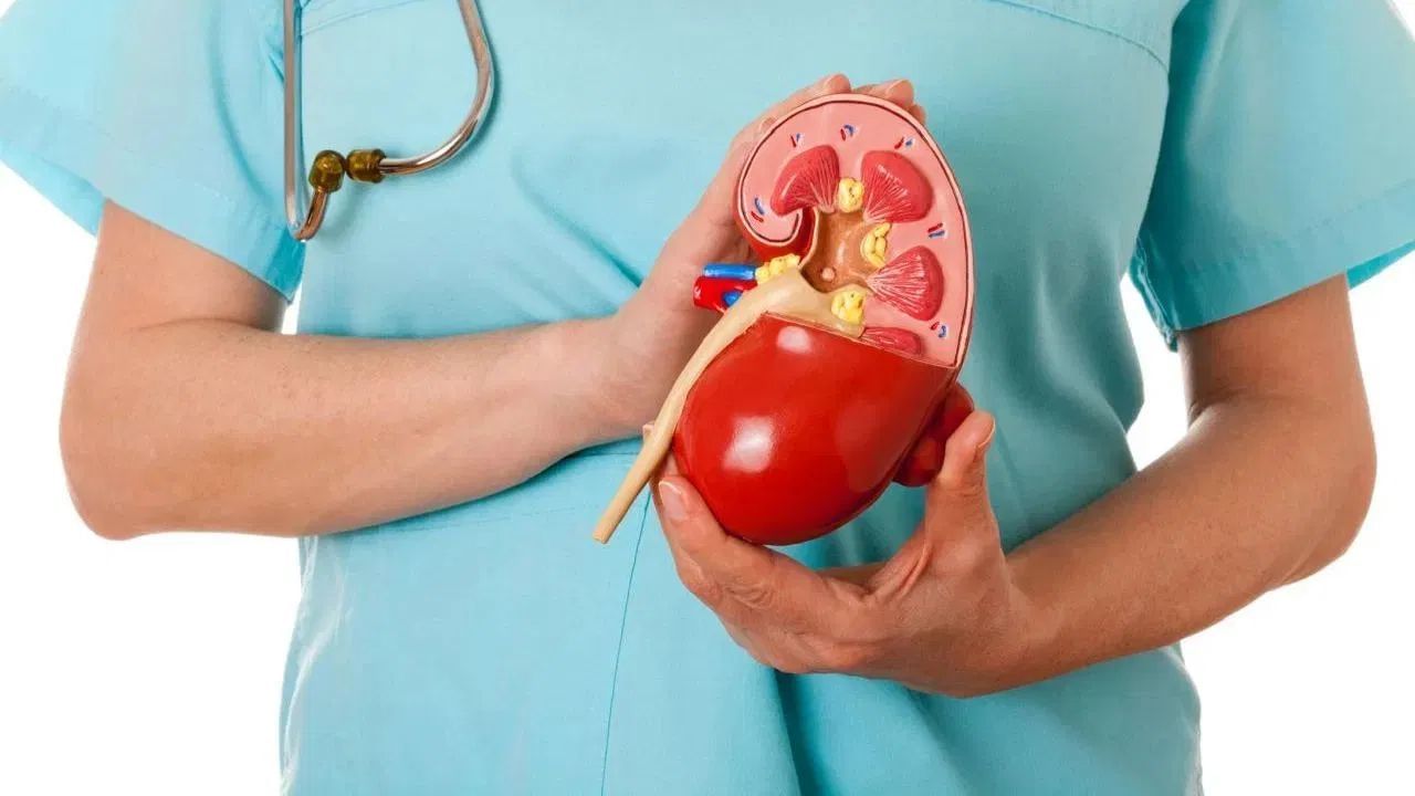 ભૂખ ન લાગવી, વારંવાર ઉબકા આવવા કે ઉલટી થવી જેવી સમસ્યા પણ કિડનીના રોગ અથવા સોજાનું પરિણામ હોઈ શકે છે. લોહીમાં જમા થતા ઝેરી તત્ત્વો પાચનક્રિયાને અસર કરે છે અને તેને બગાડી નાખે છે.