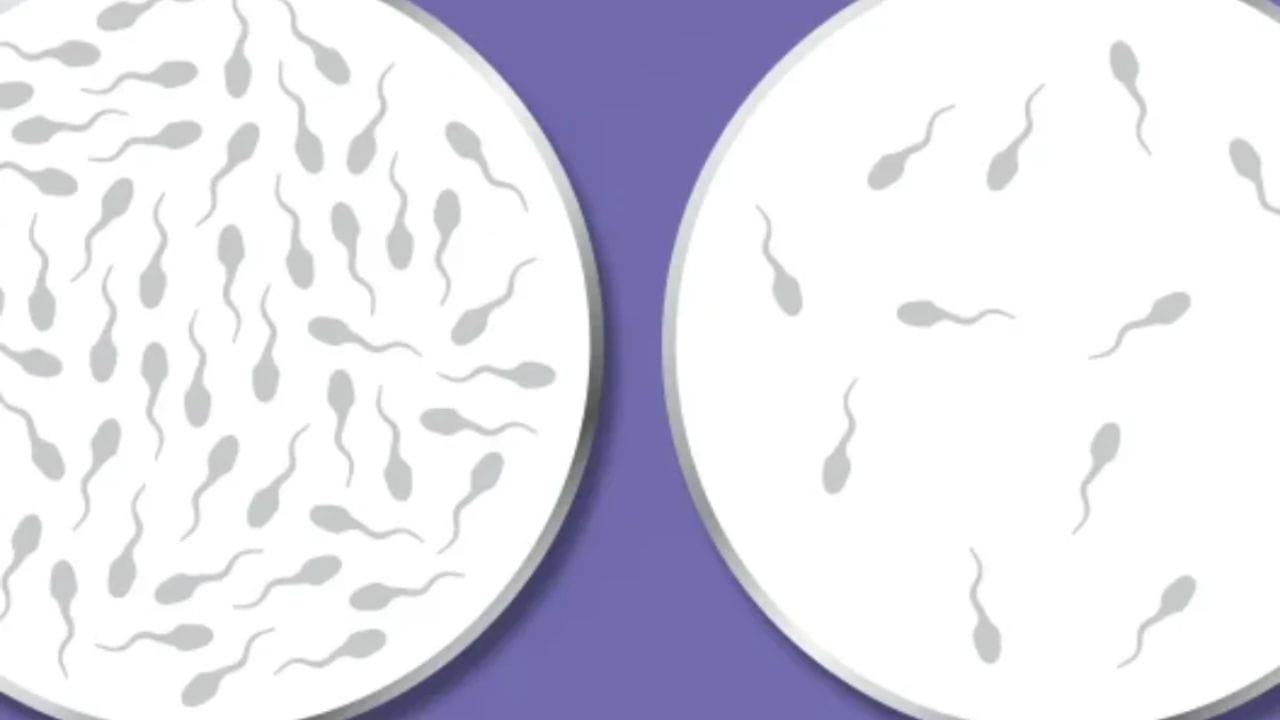 સ્પર્મ એક ખૂબ જ સંવેદનશીલ કોષ છે. તે સામાન્ય તાપમાનમાં જ બને છે અને યોગ્ય રીતે વધે છે. પરંતુ જ્યારે તમે વારંવાર ટાઈટ અંડરવેર, જીન્સ અથવા પેન્ટ પહેરો છો, ત્યારે તે શરીર સાથે ચોંટી જાય છે અને ગરમીને બહાર નીકળવા દેતું નથી. આને કારણે અંડકોષનું તાપમાન વધે છે, જે શુક્રાણુ નિર્માણની પ્રક્રિયાને ધીમી પાડે છે.