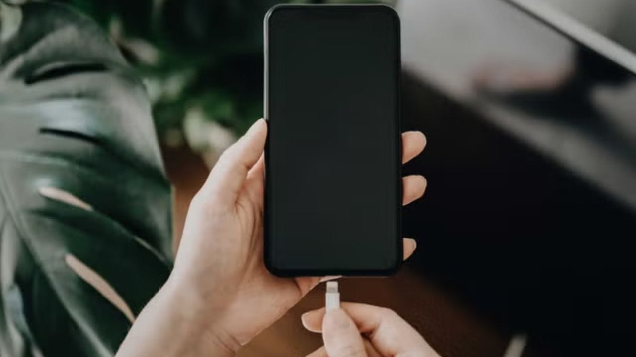 તેથી, હંમેશા Apple ના મૂળ ચાર્જર અથવા "MFi પ્રમાણિત" કેબલનો ઉપયોગ કરવાનો પ્રયાસ કરો, એટલે કે, iPhone માટે ખાસ બનાવેલ. આ તમારા ફોનને સુરક્ષિત રાખશે અને લાંબા સમય સુધી યોગ્ય રીતે કામ કરશે. એન્ડ્રોઇડ અને આઇફોન કેબલ એકસરખા દેખાઈ શકે છે, પરંતુ અંદરની ટેકનોલોજી ખૂબ જ અલગ છે. સ્થાનિક અથવા સસ્તા કેબલથી ફોન ચાર્જ કરવો જોખમી હોઈ શકે છે.