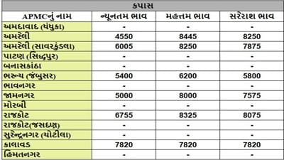 કપાસના તા.06-08-2025ના રોજ APMCના ભાવ રૂ.5000 થી 8445 રહ્યા.