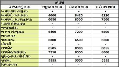 કપાસના તા.07-08-2025ના રોજ APMCના ભાવ રૂ.4000 થી 8425 રહ્યા.