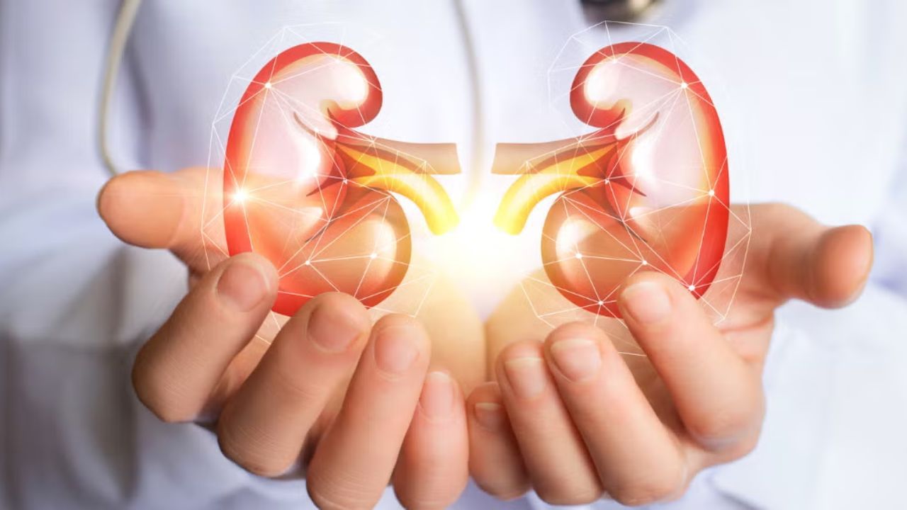 વધારે પાણી પીવું એ ખૂબ ઓછું પાણી પીવા જેટલું જ નુકસાનકારક હોઈ શકે છે. એટલા માટે સંતુલન જાળવવું મહત્વપૂર્ણ છે. સૌથી સહેલો રસ્તો એ છે કે દિવસભર વારંવાર પાણી પીવું અને તમારા પેશાબના રંગ પર ધ્યાન આપો. આછો પીળો અથવા પારદર્શક પેશાબ એ સંકેત છે કે શરીરને પૂરતું પાણી મળી રહ્યું છે.