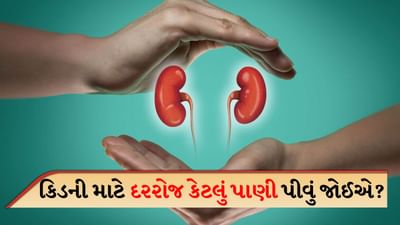 કિડની આપણા શરીરનું એક ખૂબ જ મહત્વપૂર્ણ અંગ છે, જે કમરની નીચે કરોડરજ્જુની બંને બાજુએ હાજર હોય છે. તેનો આકાર કિડની બીન્સ જેવો હોય છે અને તે શરીર માટે ફિલ્ટરનું કામ કરે છે. કિડની લોહીને સાફ કરે છે અને પેશાબના રૂપમાં શરીરમાંથી ઝેરી પદાર્થો અને વધારાનું પાણી દૂર કરે છે.