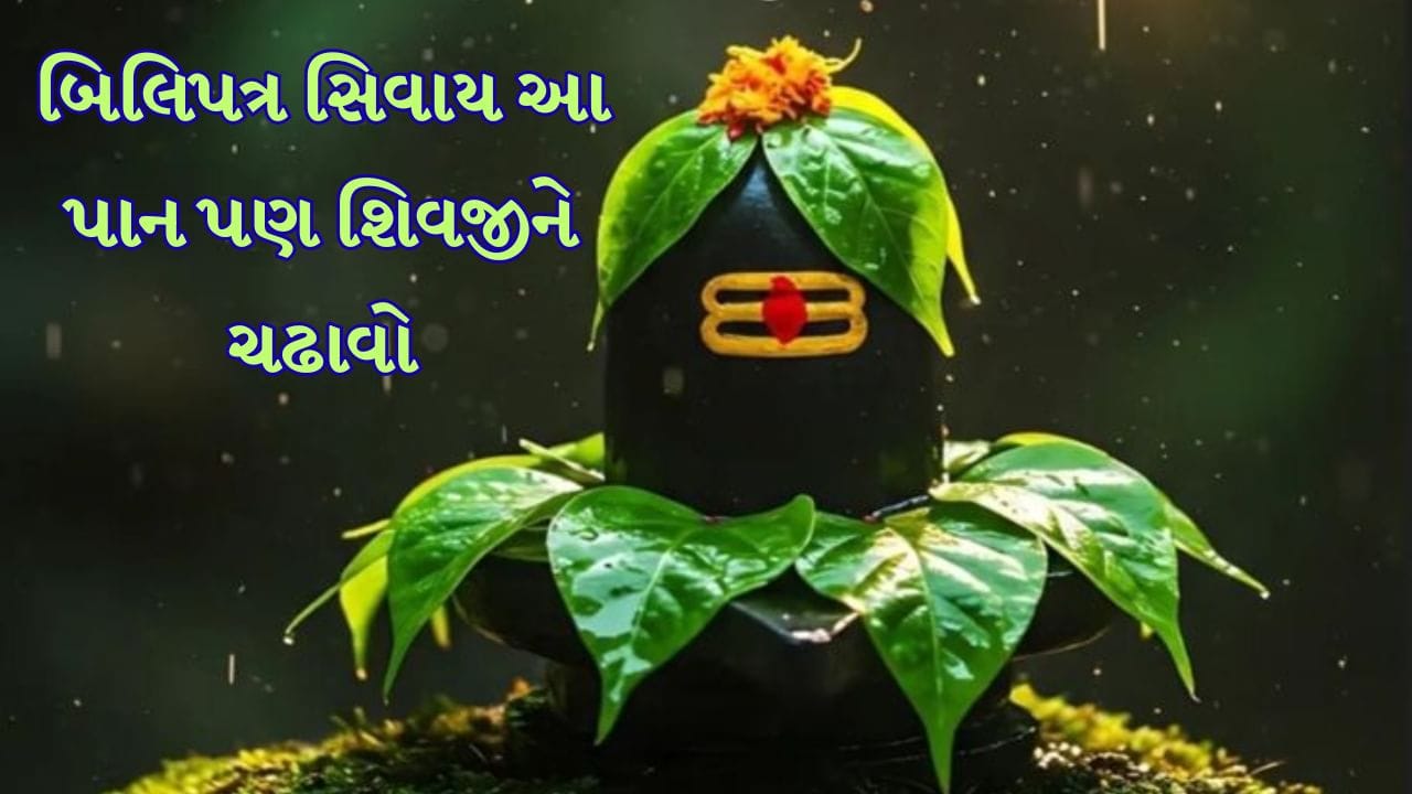 Bel Patra: ધાર્મિક માન્યતાઓ અનુસાર ભગવાન શિવને બિલિપત્ર ખૂબ જ પ્રિય છે અને તેને શિવલિંગ પર ચઢાવવાથી મનોકામનાઓ પૂર્ણ થાય છે. બિલિપત્ર ઉપરાંત કેટલાક એવા પાંદડા છે. જે શિવલિંગ પર ચઢાવવા માટે શુભ માનવામાં આવે છે.