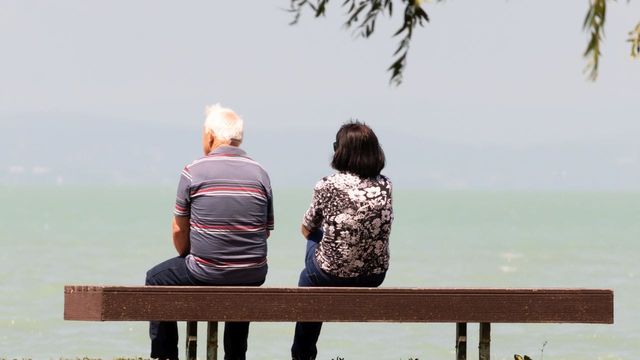 પેન્શન બંધ થવાનું સૌથી સામાન્ય કારણ જીવન પ્રમાણપત્ર સબમિટ ન કરવું છે. આ ઉપરાંત, બેંક ખાતું નિષ્ક્રિય થઈ જવું અથવા KYC અપડેટ ન થવું પણ પેન્શન બંધ થવાનું કારણ બને છે.