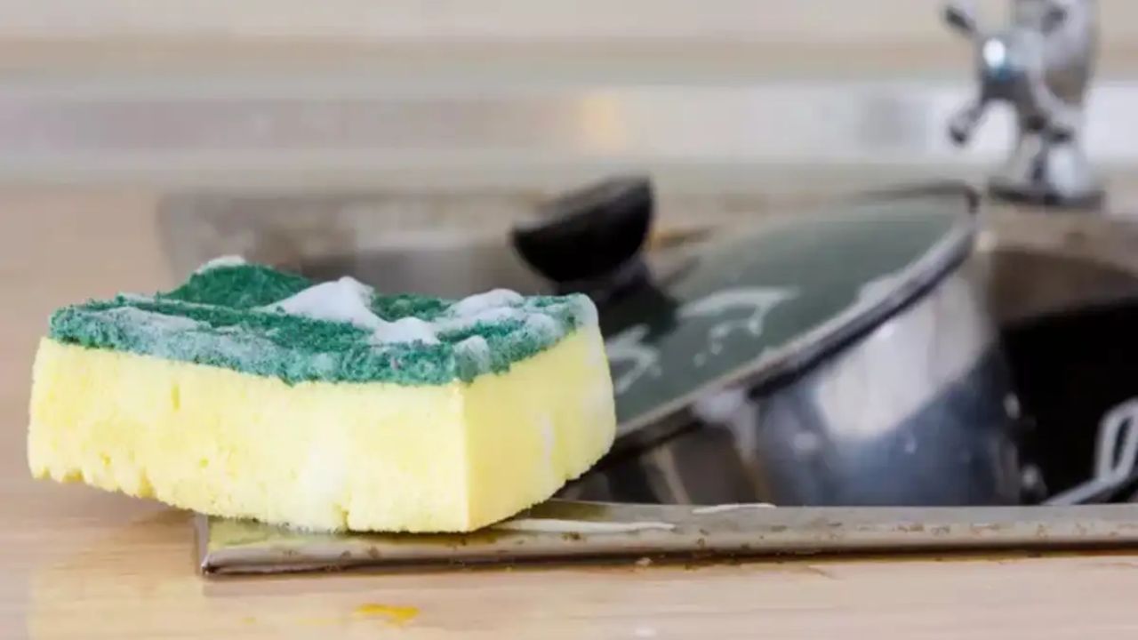 ડીશવોશિંગ સ્પોન્જ: વાસણ ધોવાના સ્પોન્જમાં બેક્ટેરિયા સૌથી ઝડપથી વધે છે. આવી સ્થિતિમાં જંતુઓને મારવા માટે તમે દરરોજ 1 મિનિટ માટે ભીના સ્પોન્જને માઇક્રોવેવ કરી શકો છો. આ ઉપરાંત નિષ્ણાતો દર 1 થી 2 અઠવાડિયામાં સ્પોન્જ બદલવાની ભલામણ કરે છે.
