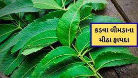 દરરોજ સવારે ખાલી પેટે લીમડાના પાન ચાવો; જે દૂર કરશે ઘણી બીમારીઓ દરરોજ સવારે ખાલી પેટે લીમડાના પાન ચાવો; જે દૂર કરશે ઘણી બીમારીઓ