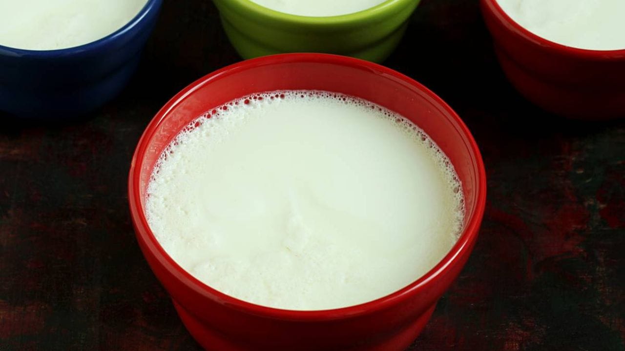 એસિડિટીનું જોખમ - કેટલાક લોકોને ખાલી પેટે દહીં ખાવાથી એસિડિટીનો અનુભવ થઈ શકે છે. ખાલી પેટ સાથે દહીંમાં હાજર લેક્ટિક એસિડ અસ્વસ્થતા અથવા પેટનું ફૂલવું જેવી સમસ્યા ઉભી કરી શકે છે.