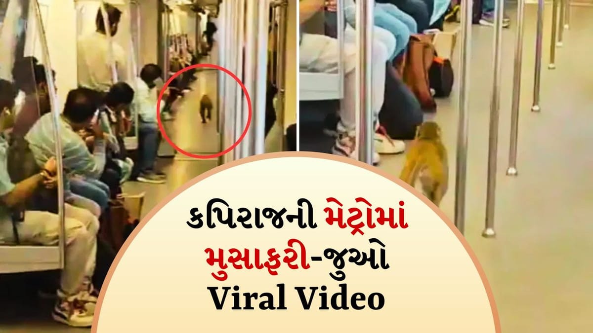 Delhi Metroમાં આવી ગયો વાનર, વાયરલ વીડિયો જોઈને તમે પણ કહેશો કે-આ શું થઈ ગયું?