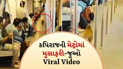 Delhi Metroમાં આવી ગયો વાનર, વાયરલ વીડિયો જોઈને તમે પણ કહેશો કે-આ શું થઈ ગયું?
