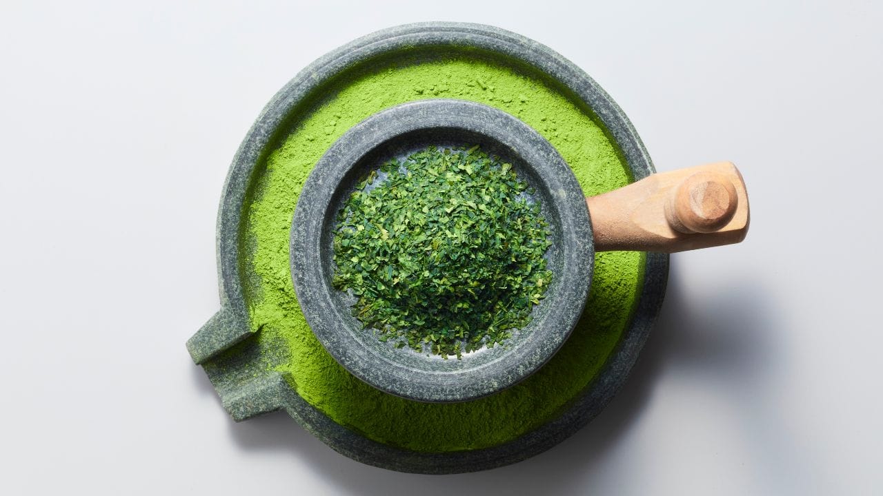 સરગવાનો પાવડર વિટામિન B12નો સારો સ્ત્રોત બની શકે છે, ખાસ કરીને તેમના માટે જે માંસાહારી ખોરાક લેતા નથી. તેમાં વિટામિન A, C, E, K સાથે કેલ્શિયમ, પોટેશિયમ, આયર્ન, મેગ્નેશિયમ, ફોસ્ફરસ, ઝીંક સહિતના ખનિજો અને ફ્લેવોનોઇડ્સ, પોલીફેનોલ્સ તથા ગ્લુકોસિનોલેટ્સ જેવા એન્ટીઑકિસડન્ટ જેવા ઘણા ગુણધર્મો હોય છે, જે સમગ્ર સ્વાસ્થ્ય જાળવવામાં મદદરૂપ થાય છે. (Credits: - Canva)