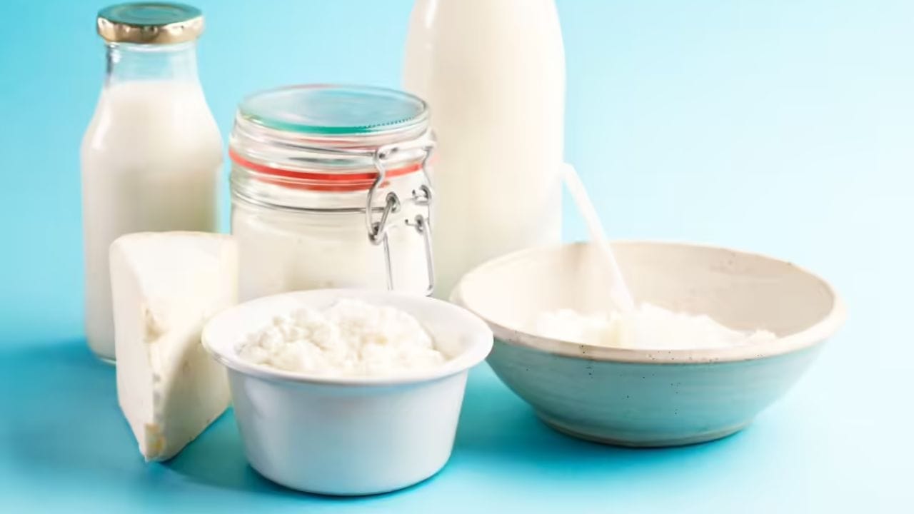 પોષક તત્વોનો સારો સ્ત્રોત - સવારે સૌથી પહેલા દહીં ખાવાથી કેલ્શિયમ, પ્રોટીન અને વિટામિન બી જેવા જરૂરી પોષક તત્વો ઝડપથી મળે છે. દહીંમાં ભરપૂર માત્રામાં પોષક તત્વો હોય છે જે હાડકાના સ્વાસ્થ્ય અને સ્નાયુઓને મજબૂત કરવામાં મદદ કરે છે.
