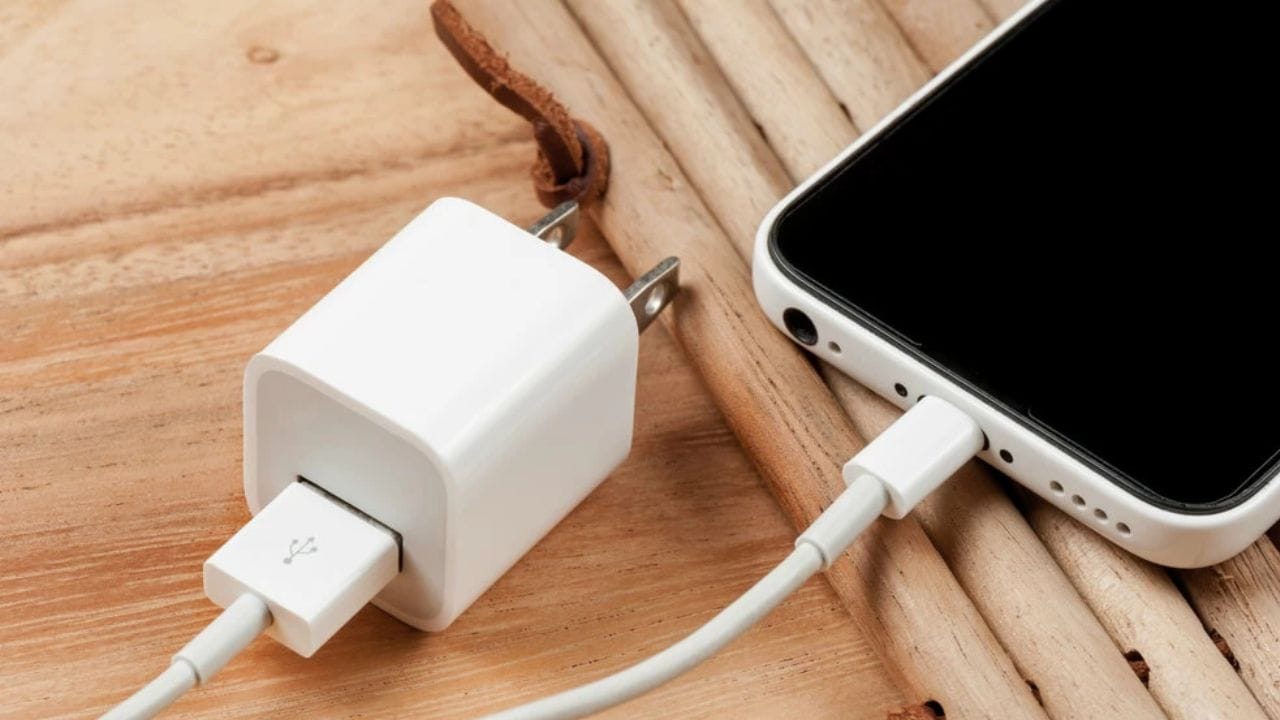 તમને જણાવી દઈએ કે ફોન સાથે આવેલા ચાર્જરથી તમારે જે તે ડિવાઈઝ ચાર્જ કરવો જોઈએ, આમ એક ચાર્જરથી અલગ અલગ ડિવાઈઝ ચાર્જ કરવાથી પહેલું જોખમ ઉપકરણની બેટરી પર અસર છે. વિવિધ ઉપકરણોની પાવર જરૂરિયાતો અલગ અલગ હોય છે. બે કે ત્રણ ઉપકરણોને એકસાથે ચાર્જ કરવાથી ચાર્જરની આઉટપુટ ક્ષમતા વિભાજિત થાય છે, જેના કારણે દરેક ઉપકરણને જરૂરિયાત કરતાં ઓછી કે વધુ એનર્જી મળી શકે છે. આ બેટરીના સ્વાસ્થ્ય પર ખરાબ અસર કરી શકે છે અને લાંબા ગાળે ફોની બેટરી લાઈફ ઘટાડી શકે છે. આ ઉપરાંત, એક જ કેબલ બધા ઉપકરણોને સમાન ઇનપુટ આપતું નથી.