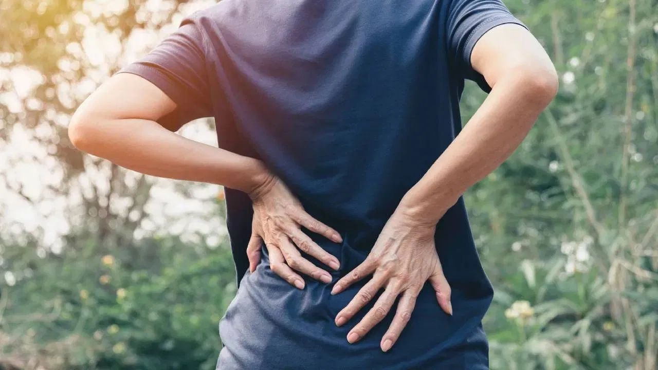 શરીરમાં તીવ્ર દુખાવો અને તાવ કયા રોગના લક્ષણો છે? - ડૉ. અજય કુમાર જણાવ્યું કે તીવ્ર દુખાવો અને તાવ ઘણા રોગોનું લક્ષણ હોઈ શકે છે. આ ફ્લૂ, ચિકનગુનિયા, ડેન્ગ્યુ અને વાયરલ તાવ જેવા વાયરલ ચેપમાં સામાન્ય છે. આ લક્ષણો ટાઈફોઈડ, ન્યુમોનિયા, યુરિન ઇન્ફેક્શન (UTI) અને સાઇનસાઇટિસ જેવા બેક્ટેરિયલ ચેપમાં પણ જોવા મળે છે.