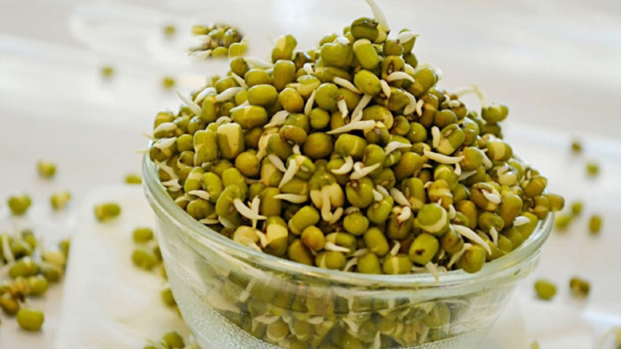 ફણગાવેલા મગ - મોટાભાગના લોકોને ફણગાવેલા મગ ખોરકમાં ઉપયોગ કરતા હોય છે. તમે નાસ્તામાં સામેલ કરી શકો છો. 1 કપ એટલે કે લગભગ 104 ગ્રામ આ ફણગાવેલા મગમાં ખૂબ ઓછી કેલરી અને કાર્બોહાઇડ્રેટ્સ હોય છે. તેમાં 3 ગ્રામ પ્રોટીન, તેમજ મગમાં 15% વિટામિન સી, 16% ફોલેટ અને 5% આયર્ન હોય છે. ફણગાવેલા મગમાં ફ્લેવોનોઇડ્સ અને વિટામિન સીનું પ્રમાણ થોડું વધારે છે. આ ફણગાવેલા મગ એન્ટીઑકિસડન્ટ ગુણધર્મોને વધારે છે.