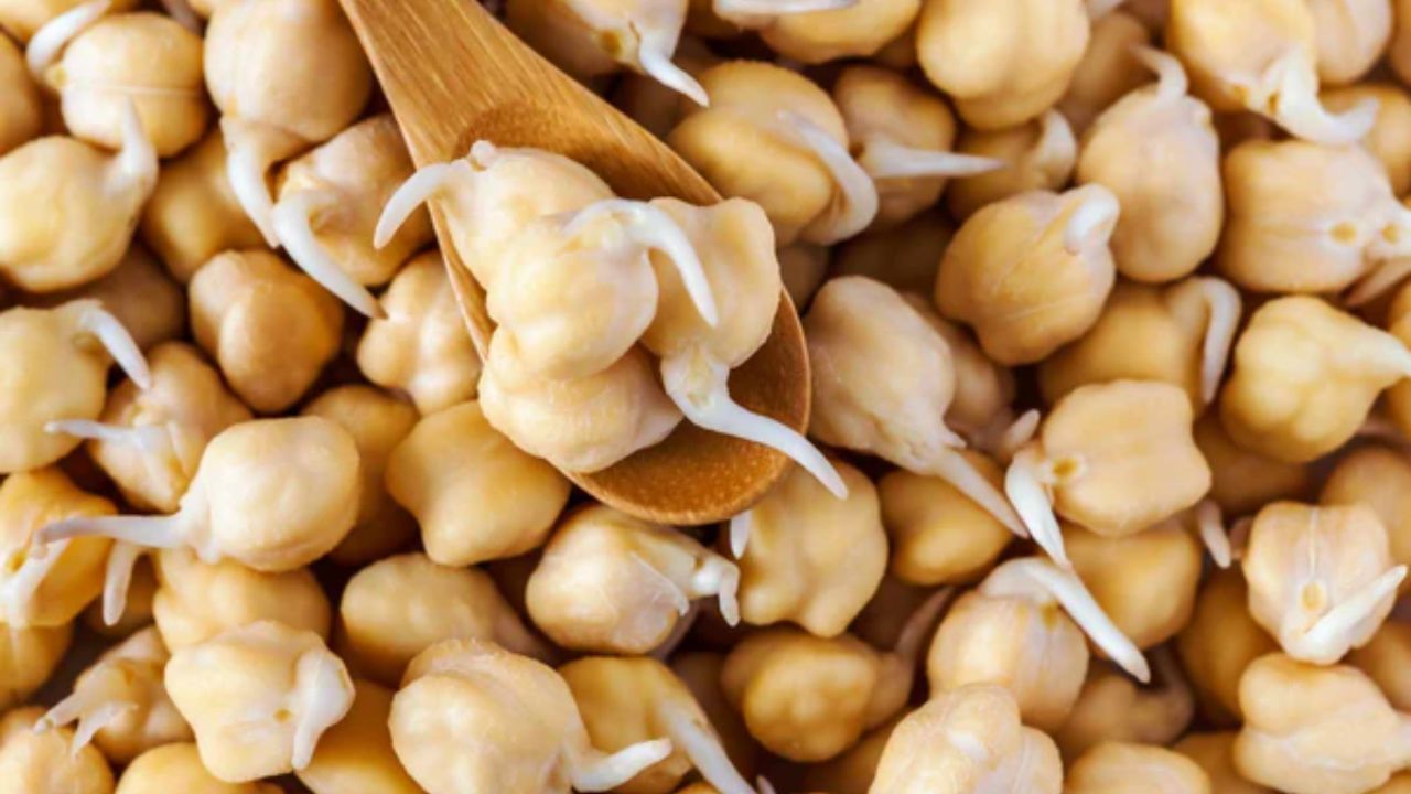 ફણગાવેલા સફેદ ચણાના - દેશી ચણાની જેમ, તમને સફેદ ચણા ખાવાના અનેક ફાયદા થાય છે. તેમાં પ્રોટીનનો સારો સ્ત્રોત પણ માનવામાં આવે છે. 140 ગ્રામ ફણગાવેલા સફેદ ચણાનામાં લગભગ 36 ગ્રામ પ્રોટીન જોવા મળે છે. ઉપરાંત, તેમાં દૈનિક મૂલ્ય અનુસાર 40% આયર્ન હોય છે.