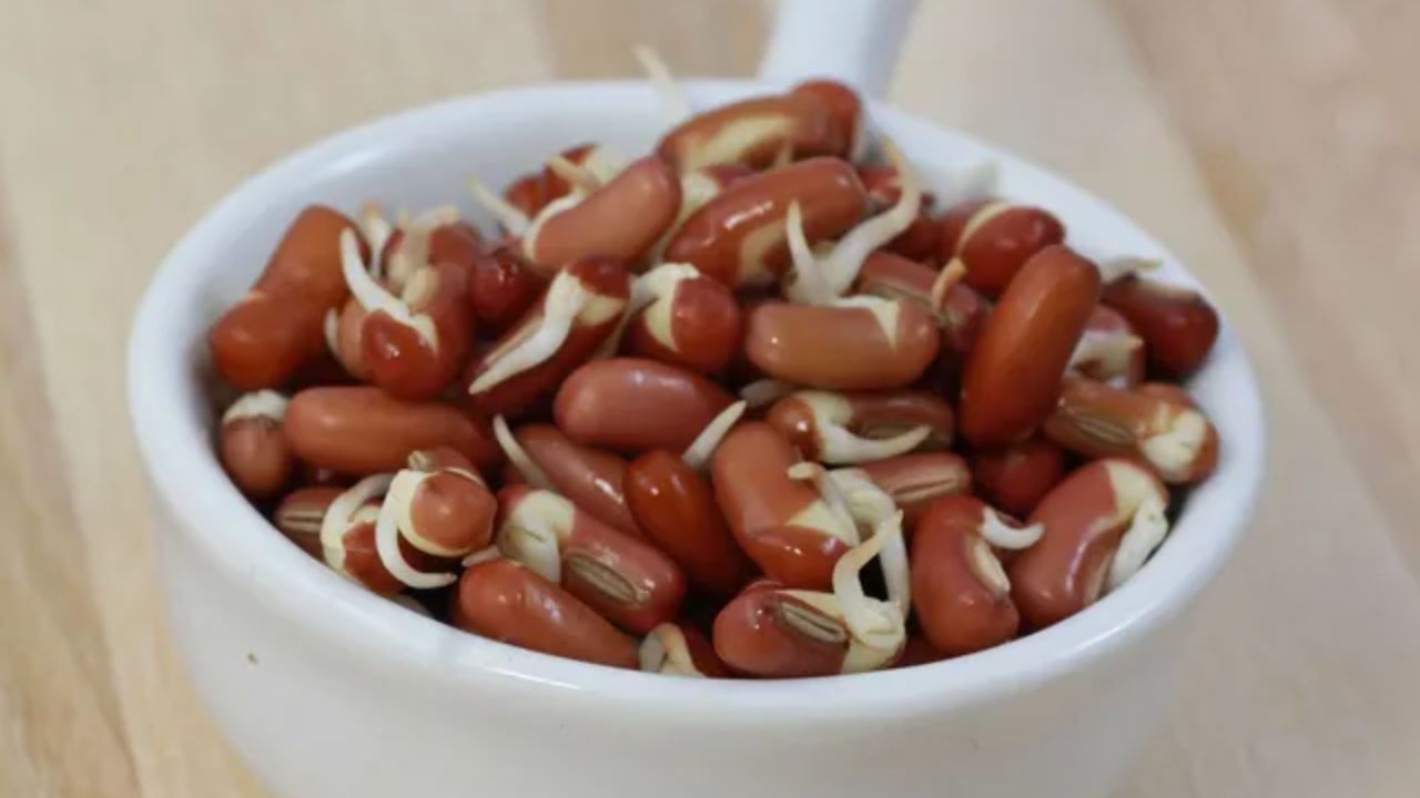 ફણગાવેલા રાજમા - રાજમાને ફણગાવીને તમારા આહારમાં ઉમેરો. હેલ્થલાઈન અનુસાર, 184 ગ્રામ રાજમાં 79% વિટામિન સી અને 8 ગ્રામ પ્રોટીન હોય છે. આ પૌષ્ટિક આહાર તમને સ્વસ્થ રાખવામાં મદદ કરે છે, તેથી તેને સલાડ કે શાકભાજીમાં ઉમેરીને ખાઓ.