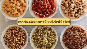 નાસ્તામાં 7 પ્રકારના ફણગાવેલા કઠોળ ઉમેરો અને આખો દિવસ ઊર્જાવાન રહો નાસ્તામાં 7 પ્રકારના ફણગાવેલા કઠોળ ઉમેરો અને આખો દિવસ ઊર્જાવાન રહો