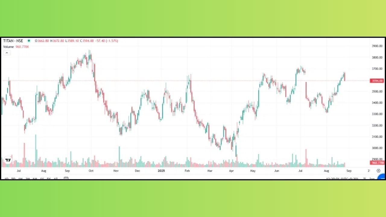 ટાઇટન કંપની: ટાટા ગ્રુપ અને TIDCO ની જોઇન્ટ વેન્ચર કંપની ઘરેણાં, ઘડિયાળો, ચશ્મા અને લાઇફસ્ટાઇલ પ્રોડક્ટસનું ઉત્પાદન કરે છે. કંપનીની જ્વેલરી બ્રાન્ડ્સમાં તનિષ્ક, મિયા, કાર્ટલેન અને ઝોયાનો સમાવેશ થાય છે. કંપની પાસે 2,000 થી વધુ સ્ટોર્સનું નેટવર્ક છે.