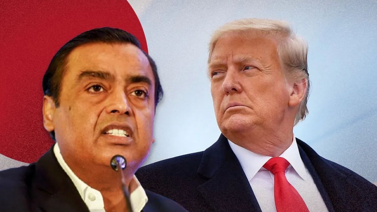 ટ્રમ્પ ટેરિફના સમાચારથી આલોક ઇન્ડસ્ટ્રીઝ લિમિટેડ અને અન્ય ટેક્સટાઇલ કંપનીઓ પણ તૂટી ગઈ છે. ભારતીય ટેક્સટાઇલ કંપનીઓ, ગોકલદાસ એક્સપોર્ટ્સ લિમિટેડ, વેલસ્પન લિવિંગ લિમિટેડ, ઇન્ડો કાઉન્ટ ઇન્ડસ્ટ્રીઝ લિમિટેડ અને પર્લ ગ્લોબલ લિમિટેડ, ગુરુવાર, 31 જુલાઈના રોજ 7% સુધી ઘટી ગયા છે.