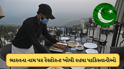 ભારતનું ભૂંડું બોલી ભારતના નામે જ કમાય છે ભિખારી પાકિસ્તાની, નથી વિશ્વાસ તો જુઓ Video