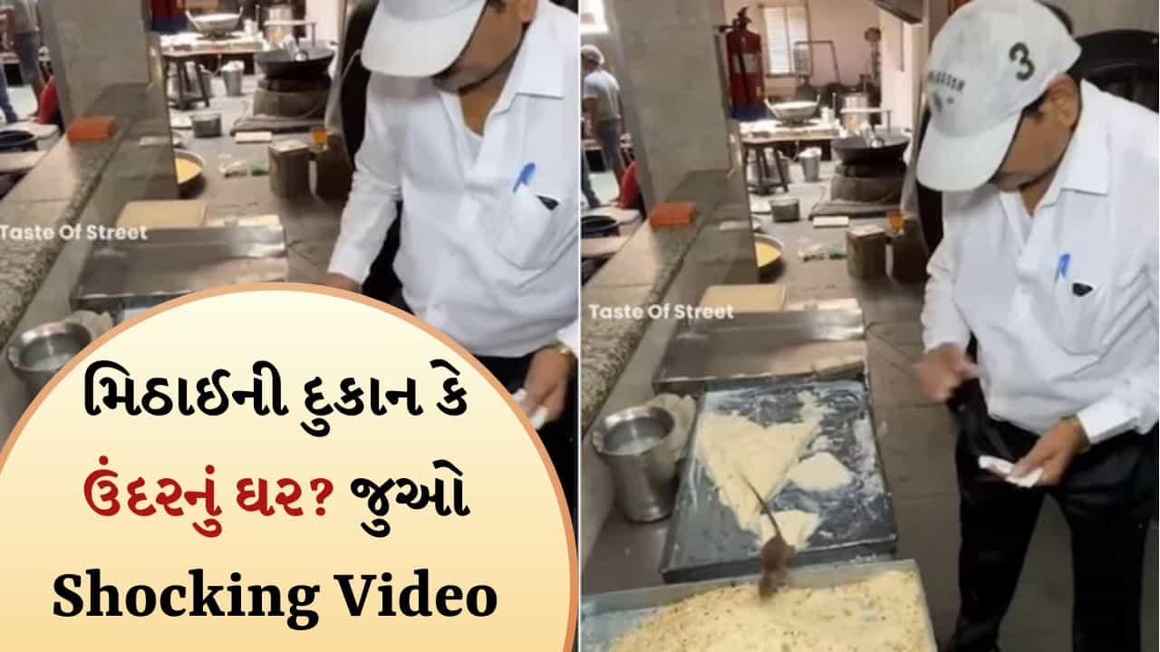 મિઠાઈની દુકાન કે ઉંદરનું ઘર? સ્વીટ પર આમ-તેમ ફરતા જોવા મળ્યા ઉંદર, જુઓ Viral Video