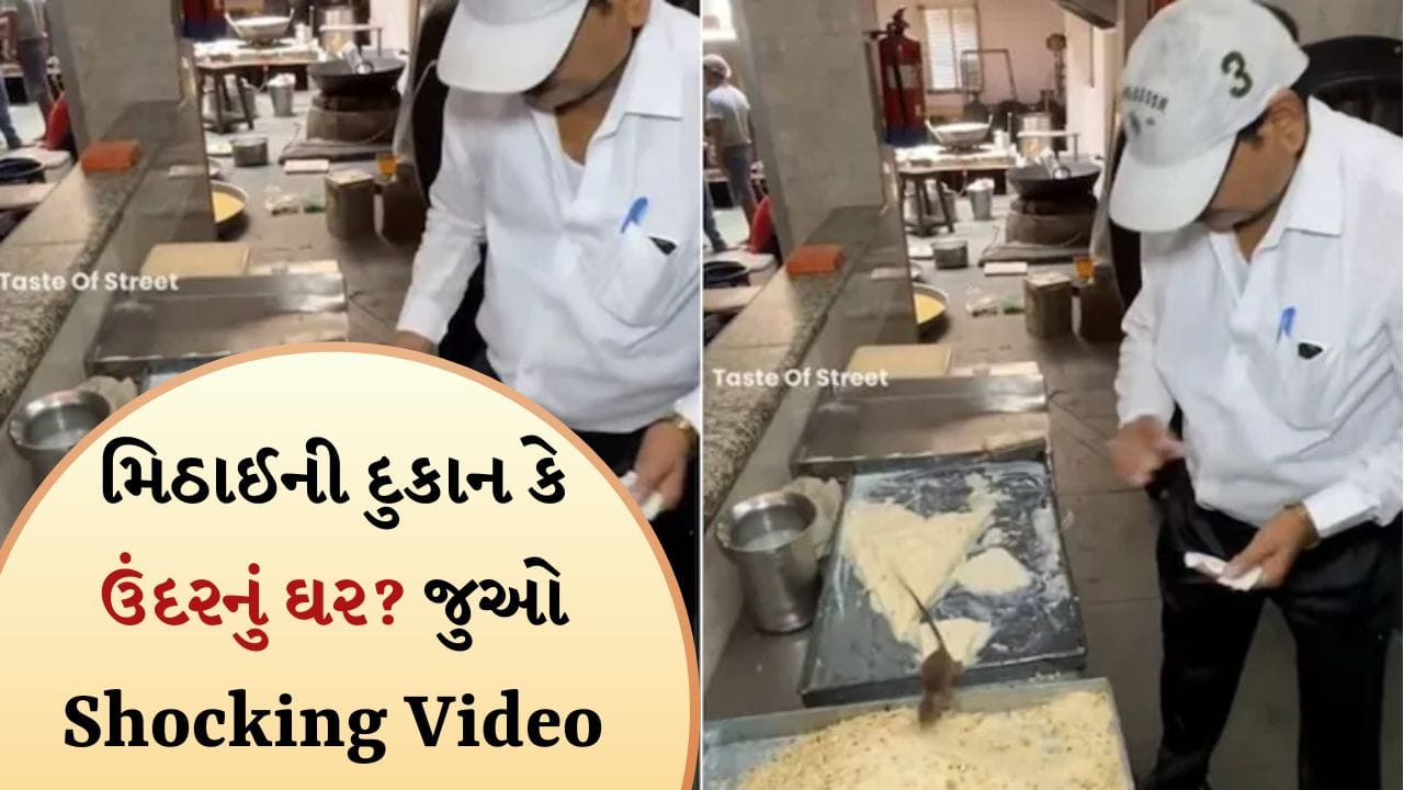 મિઠાઈની દુકાન કે ઉંદરનું ઘર? સ્વીટ પર આમ-તેમ ફરતા જોવા મળ્યા ઉંદર, જુઓ Viral Video