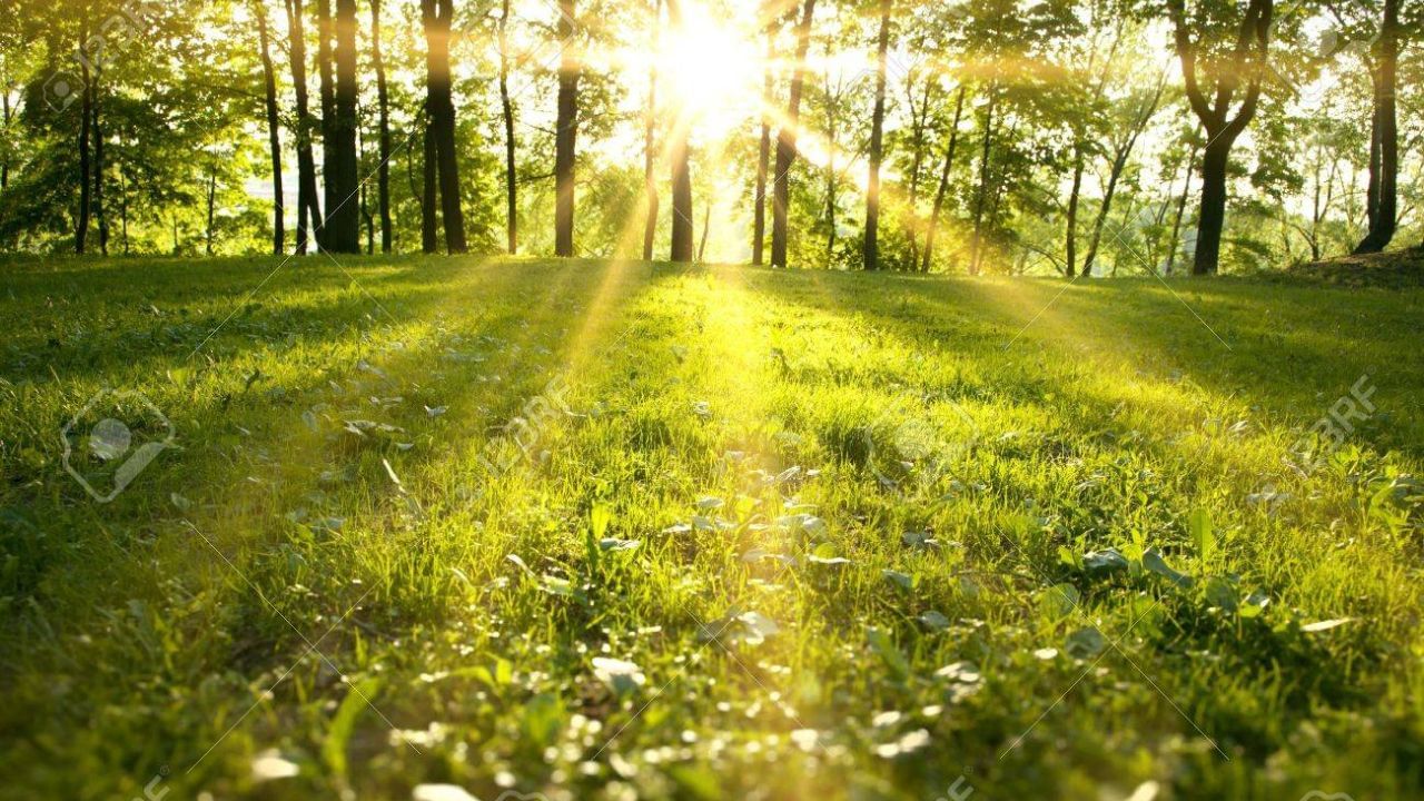 આપણને સૂર્યપ્રકાશ કેમ નથી મળી શકતો?: સૂર્યપ્રકાશ મેળવવાનો શ્રેષ્ઠ સમય એ છે જ્યારે મોટાભાગના લોકો ઓફિસમાં અથવા ઘરના કામમાં વ્યસ્ત હોય છે. બદલાતી લાઈફસ્ટાઈલને કારણે લોકો કાં તો ઓફિસમાં જ રહે છે અથવા ઘરેથી કામ કરવાને કારણે ઘરની બહાર નીકળી શકતા નથી. જો તેઓ બહાર જતા હોય તો પણ તેઓ સૂર્યપ્રકાશથી બચવા માટે પોતાના શરીરને ઢાંકે છે, સૂર્યપ્રકાશ ત્વચાને સીધો સ્પર્શતો નથી. જેના કારણે શરીરમાં વિટામિન ડીની સતત ઉણપ રહે છે.