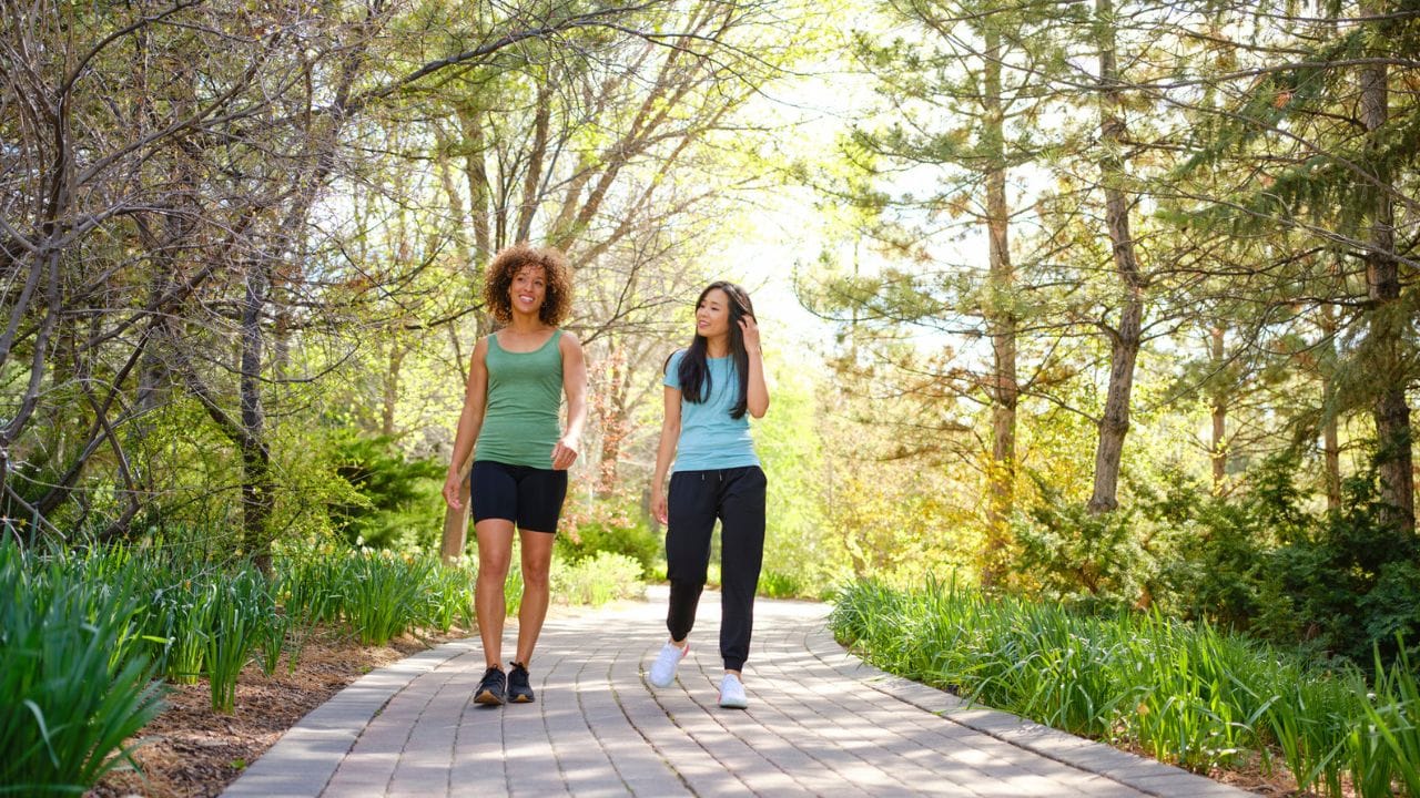 શરીરની તંદુરસ્તી માટે ચાલવું અત્યંત ઉપયોગી માનવામાં આવે છે. ઘણા લોકો તંદુરસ્ત રહેવા અને વધતી વજનની સમસ્યાથી મુક્ત થવા માટે ચાલવાનું પસંદ કરે છે. પરંતુ ખરું આરોગ્યલાભ મેળવવા માટે ચાલવા સાથે જોડાયેલા કેટલાક નિયમોનું પાલન કરવું આવશ્યક છે. જો આ નિયમોને અવગણવામાં આવે, તો વધુ ચાલ્યા છતાં પણ શરીરને અપેક્ષિત લાભ મળતો નથી. ( Credits: Getty Images )