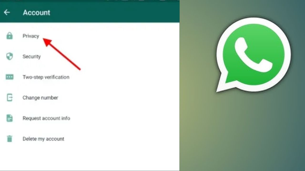 તેને ચાલુ કર્યા પછી, નંબર WhatsApp પર સેવ થશે અને તમે કોઈપણ ડિવાઇસ પર WhatsApp નો ઉપયોગ કરતી વખતે તેને ઍક્સેસ કરી શકશો.