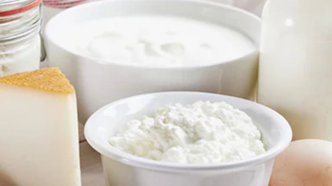 લેક્ટિક એસિડ: ખાલી પેટે દહીં ખાવાથી તેમાં રહેલા લેક્ટિક એસિડને કારણે પેટની એસિડિટી વધી શકે છે. તેથી ઠંડુ દૂધ પીવું ફાયદાકારક માનવામાં આવે છે.(Disclaimer: અહીં આપવામાં આવેલી માહિતી ફક્ત જાણકારી માટે જ છે. કોઈ પણ વસ્તુઓ અનુસરતા પહેલા તમારે તમારા ડોક્ટરની સલાહ અવશ્ય લેવી.)