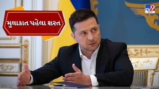 ટ્રમ્પને મળતા પહેલા ઝેલેન્સકીએ શાંતિ વાટાઘાટો માટે મુકી શરતો, EU નેતાઓએ આપ્યુ સમર્થન