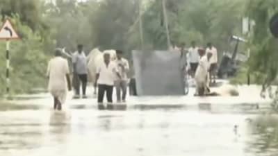 વરસાદી કહેરથી સુઈગામમાં 300 પશુઓના મોત, ખેતરોમાં લહેરાતો પાક પાણીમાં ડૂબ્યો