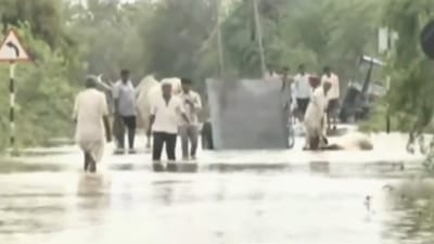 વરસાદી કહેરથી સુઈગામમાં 300 પશુઓના મોત, ખેતરોમાં લહેરાતો પાક પાણીમાં ડૂબ્યો