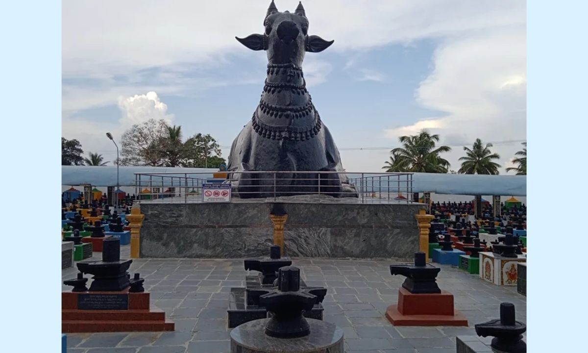 આ મંદિર તાજેતરના દાયકાઓમાં સ્થાપિત થયું હોવાથી, તેમાં ભક્તો અને પ્રવાસીઓ માટે તમામ આધુનિક સુવિધાઓ છે. મંદિર પરિસરમાં શૌચાલય, પાણીની વ્યવસ્થા, લગ્ન હોલ, ધ્યાન હોલ અને પ્રદર્શન કેન્દ્ર બનાવવામાં આવ્યા છે. ઉપરાંત, પૂજા સામગ્રી અને શિવલિંગની નાની મૂર્તિઓ બહારના નાના બજારમાં સરળતાથી ખરીદી શકાય છે. (Kotilingeshwara Temple/Facebook)