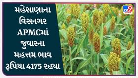 APMC: મહેસાણાના વિસનગર APMCમાં જુવારના મહત્તમ ભાવ રૂપિયા 4175 રહ્યા APMC: મહેસાણાના વિસનગર APMCમાં જુવારના મહત્તમ ભાવ રૂપિયા 4175 રહ્યા