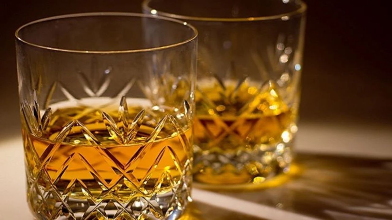 કંપની આ IPO દ્વારા આશરે ₹258 કરોડ એકત્ર કરવાની યોજના ધરાવે છે. પ્રમોટર રોમેશ પંડિતા આશરે 18 મિલિયન શેર વેચી રહ્યા છે. વધુમાં, AlcoBrew પ્રી-IPO પ્લેસમેન્ટ દ્વારા આશરે ₹51 કરોડ એકત્ર કરવાનું વિચારી રહી છે. જો આ પ્લેસમેન્ટ થાય છે, તો IPOનું કદ તે મુજબ ઘટાડવામાં આવશે.