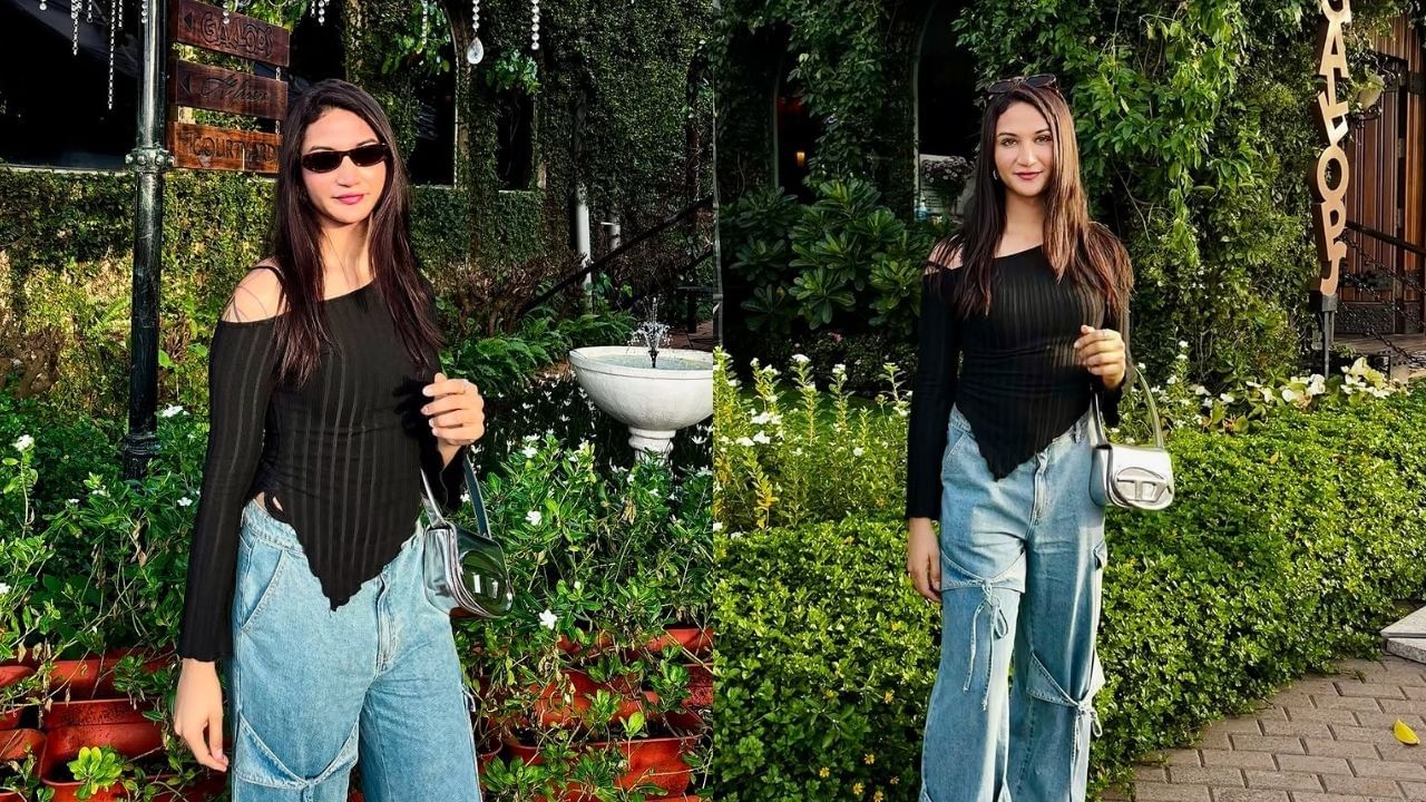 તેણીએ આગળ સમજાવ્યું, "હું સરોગસી દ્વારા માતા બની શકું છું." અનાયાએ કહ્યું, "મેં મારી સર્જરી પહેલાં મારા શુક્રાણુને ફ્રીઝ કર્યા હતા. તેથી, હું સરોગેટ માતા બનીશ. હું ગર્ભ ધારણ કરી શકતી નથી." આનો અર્થ એ છે કે માતા બનવા માટે, અનાયાએ સ્ત્રીનું ગર્ભાશય ભાડે લેવું પડશે.